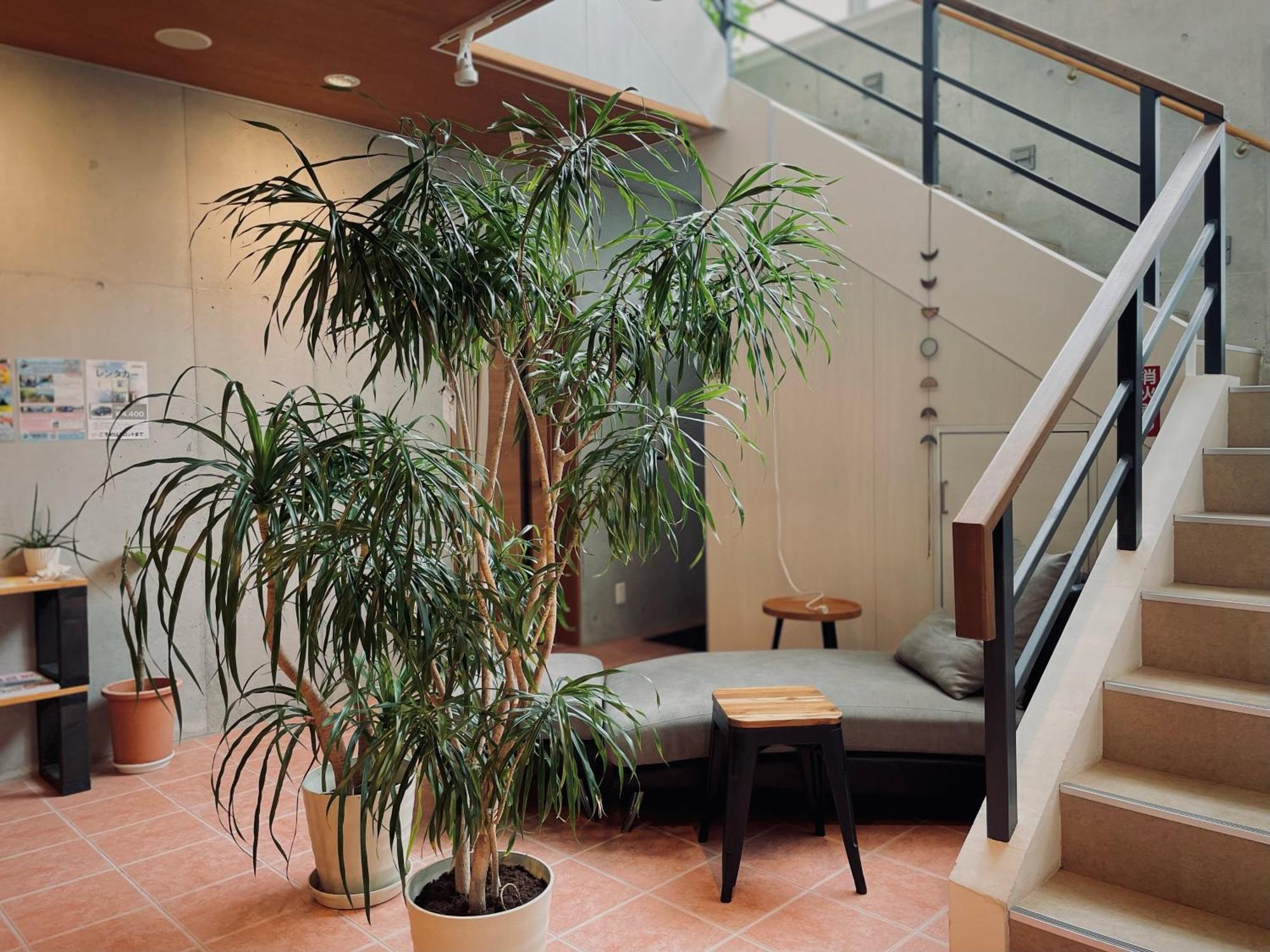 Hostel Sunterrace Ishigaki Ishigaki  ภายนอก รูปภาพ